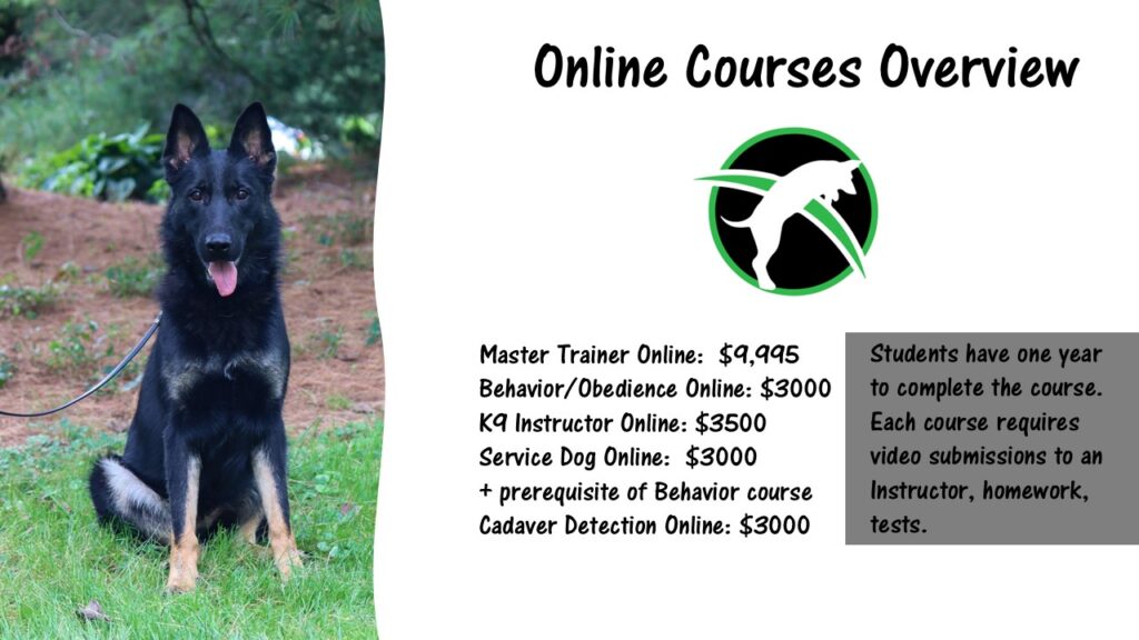 online dog trainer courses